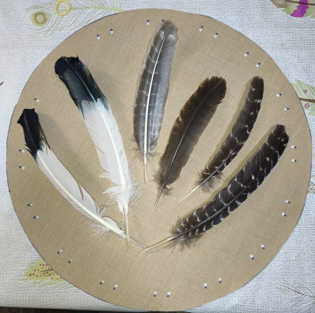 Eagle feathers shamanic